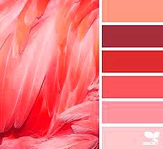 A 2019 év színe a Pantone 16-1546 Living Coral - függönyvarrás eger, Agria Textil (1)